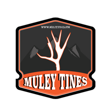 best deer attractant