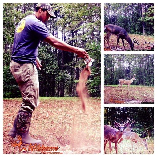 trail photos using critter lick deer attractant